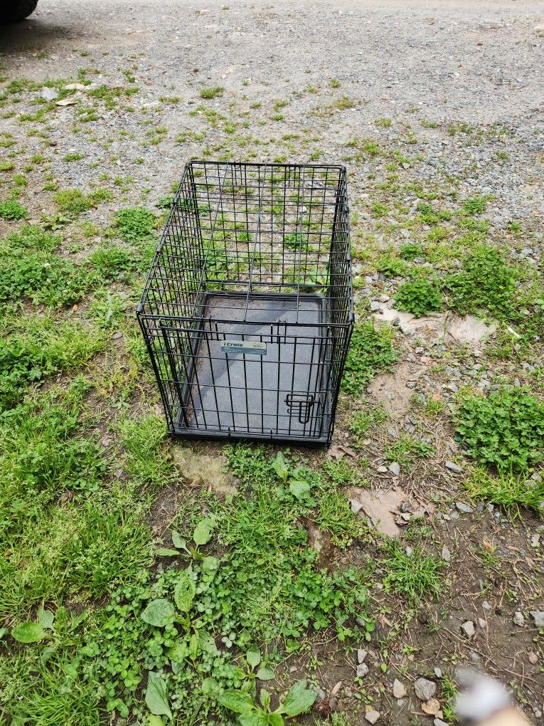 Small Dog Kennel