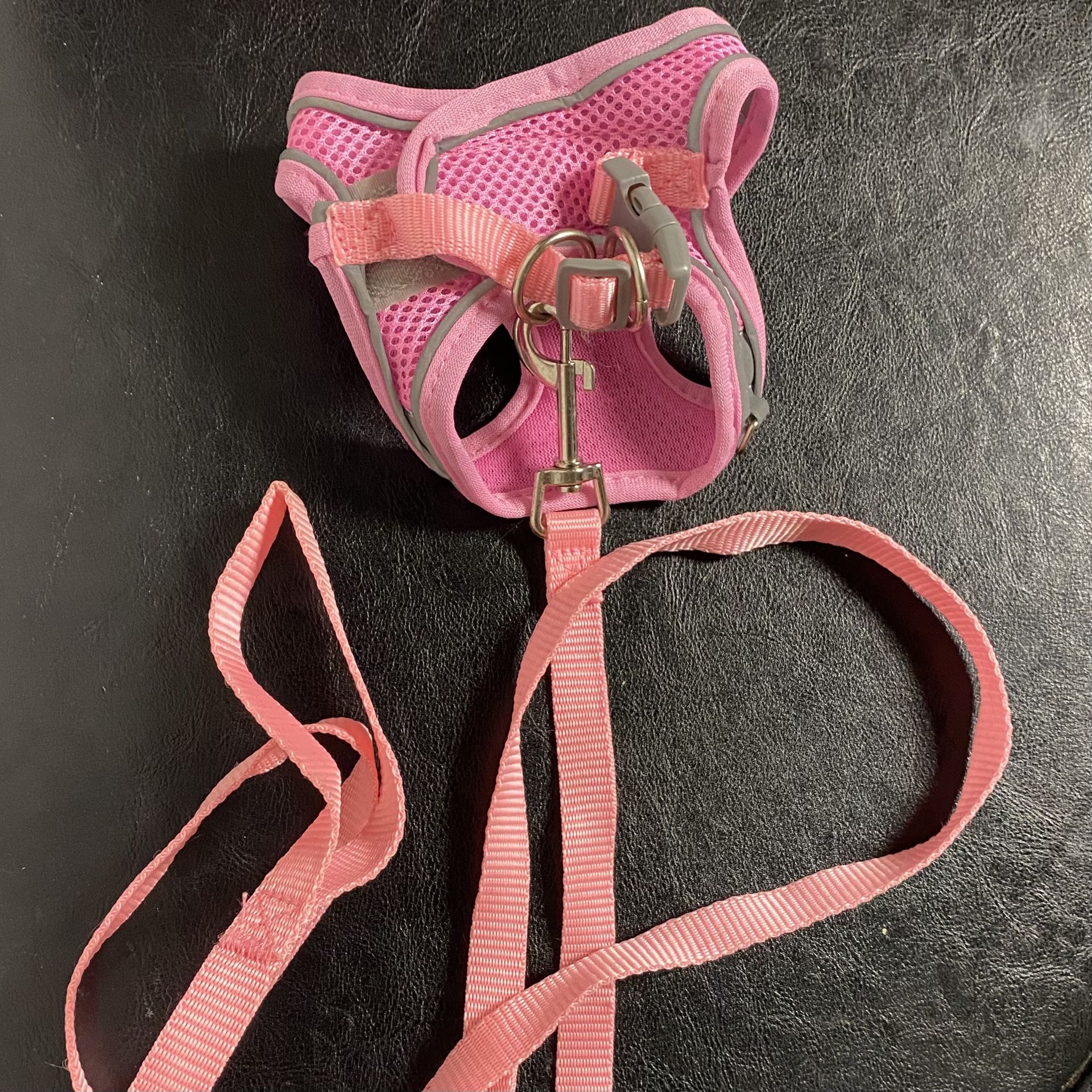 Kitten Harness/Leash, Reflective Mesh, Lightweight