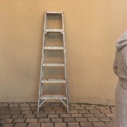 6ft Ladder 
