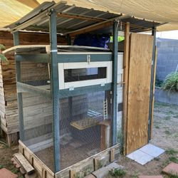 Quail Or Chicken Or Bird Coop