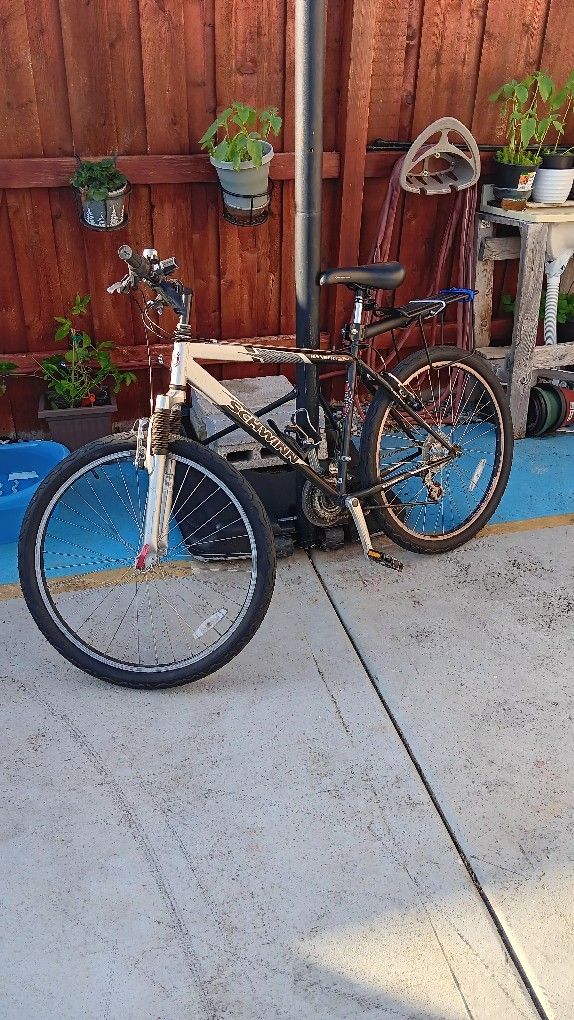 Schwinn Hybrid Bike