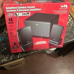 Amplified Speaker System 