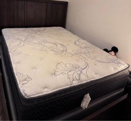 Queen Pillow Top Mattress with Box Spring