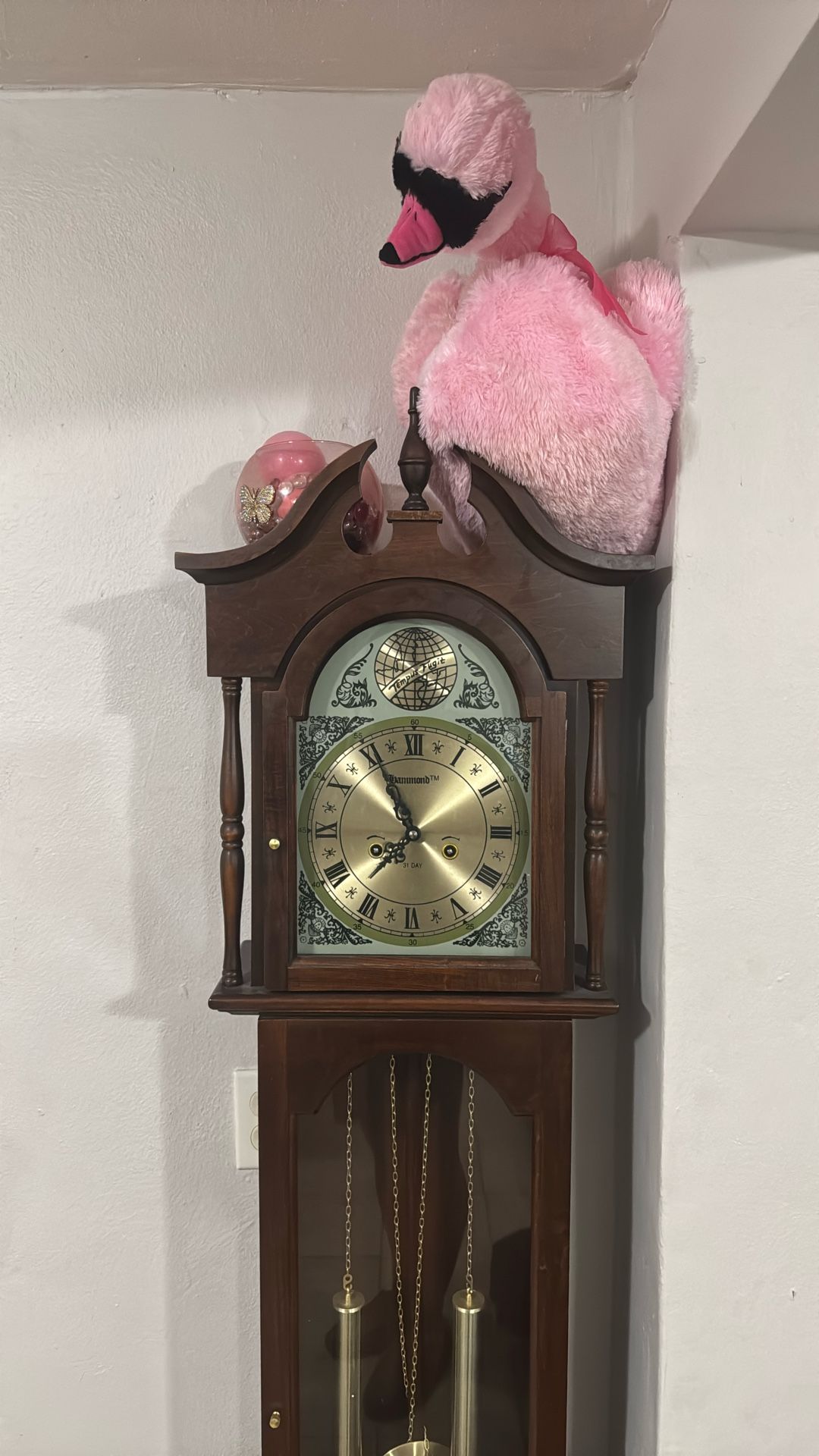 Tempus Fugit Vintage Grandfather Clock