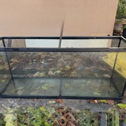 55 Gallon tank in perfect condition