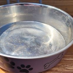 Pet Bowl