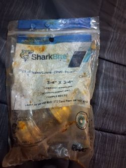 Shark bite