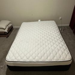 Queen Mattrees And Queen Set