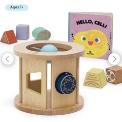 Kiwico Cell Shape Sorter