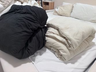 Light weight queen comforter beige and black