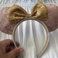 Princess Night/ Disney Inspired Ears