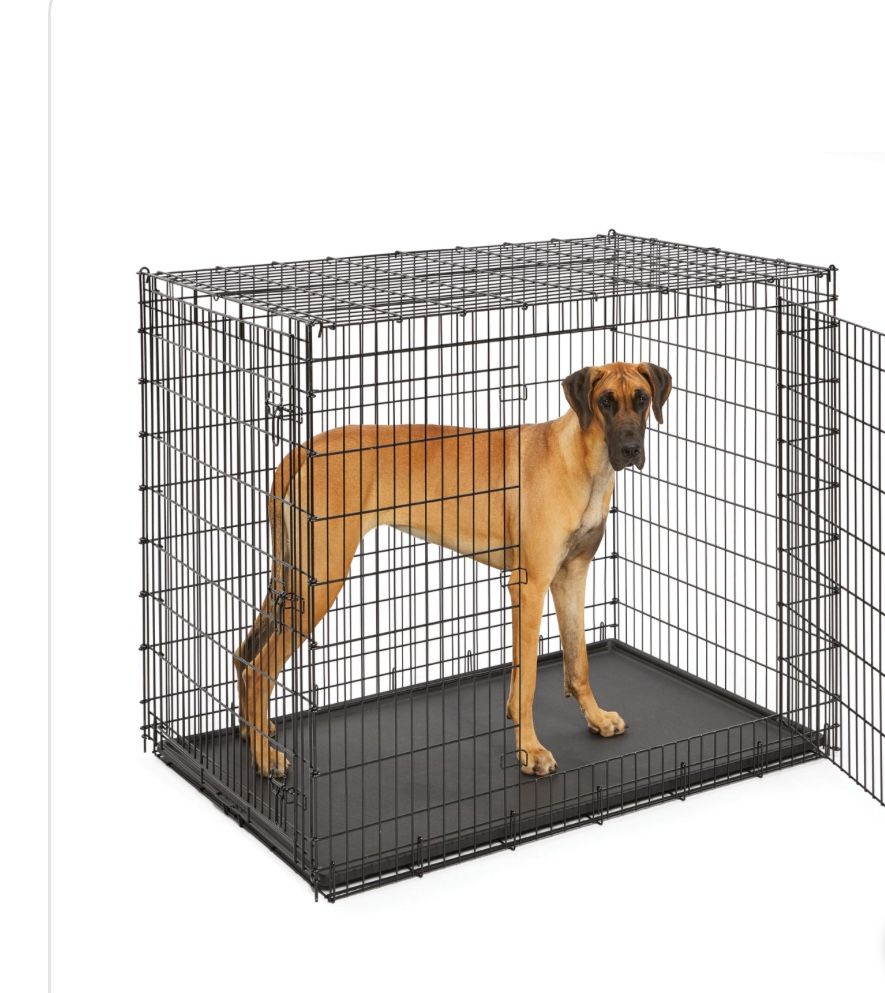 XXL dog Kennel
