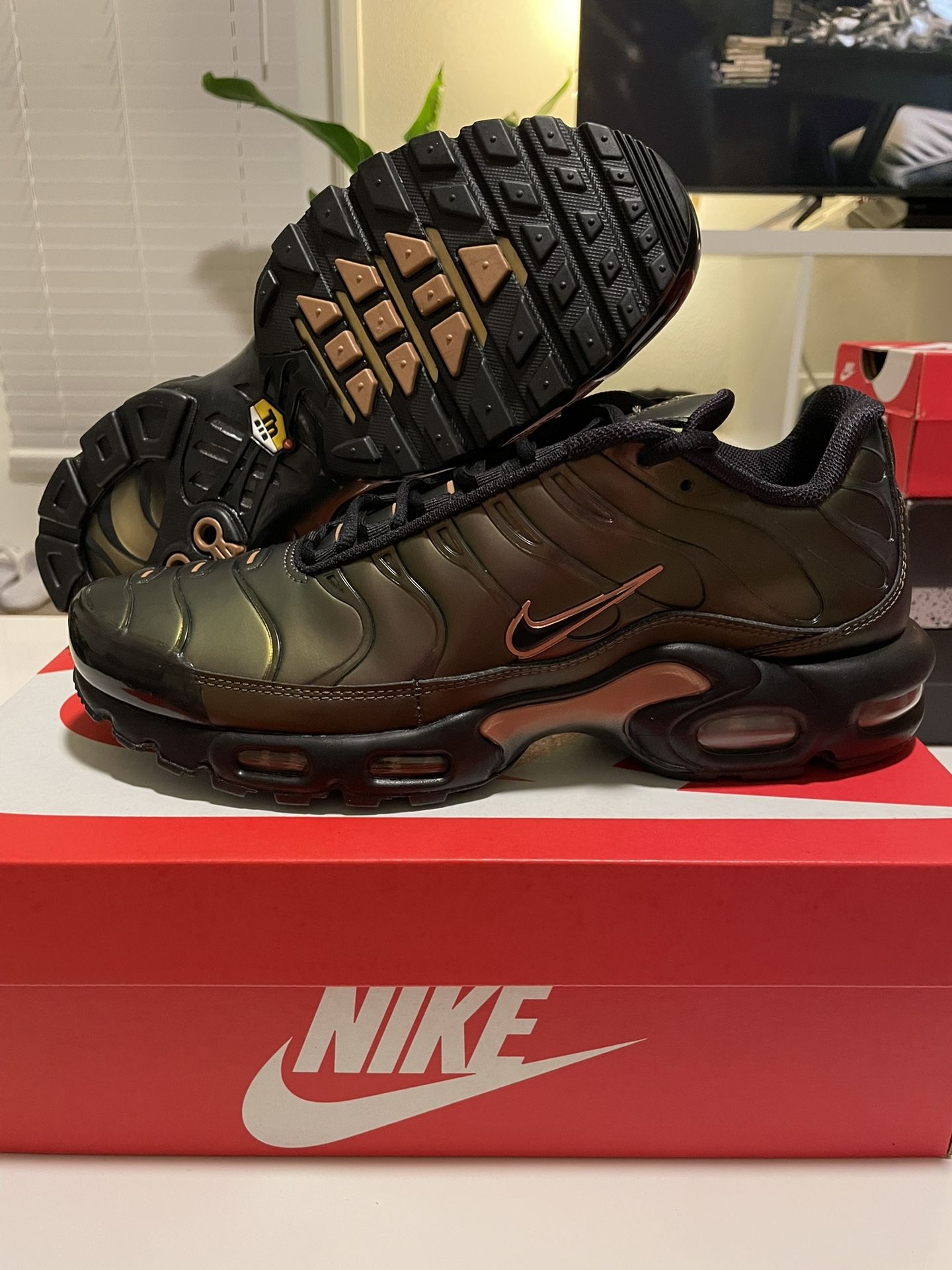 Nike Air Max Plus Size 10 Scarab