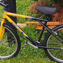 Tequesta GT 24" Mountain bike