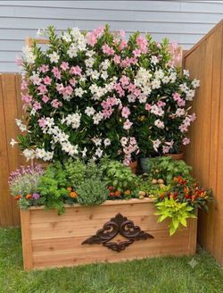 Cedar planter