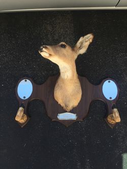 Deer head with mirrors