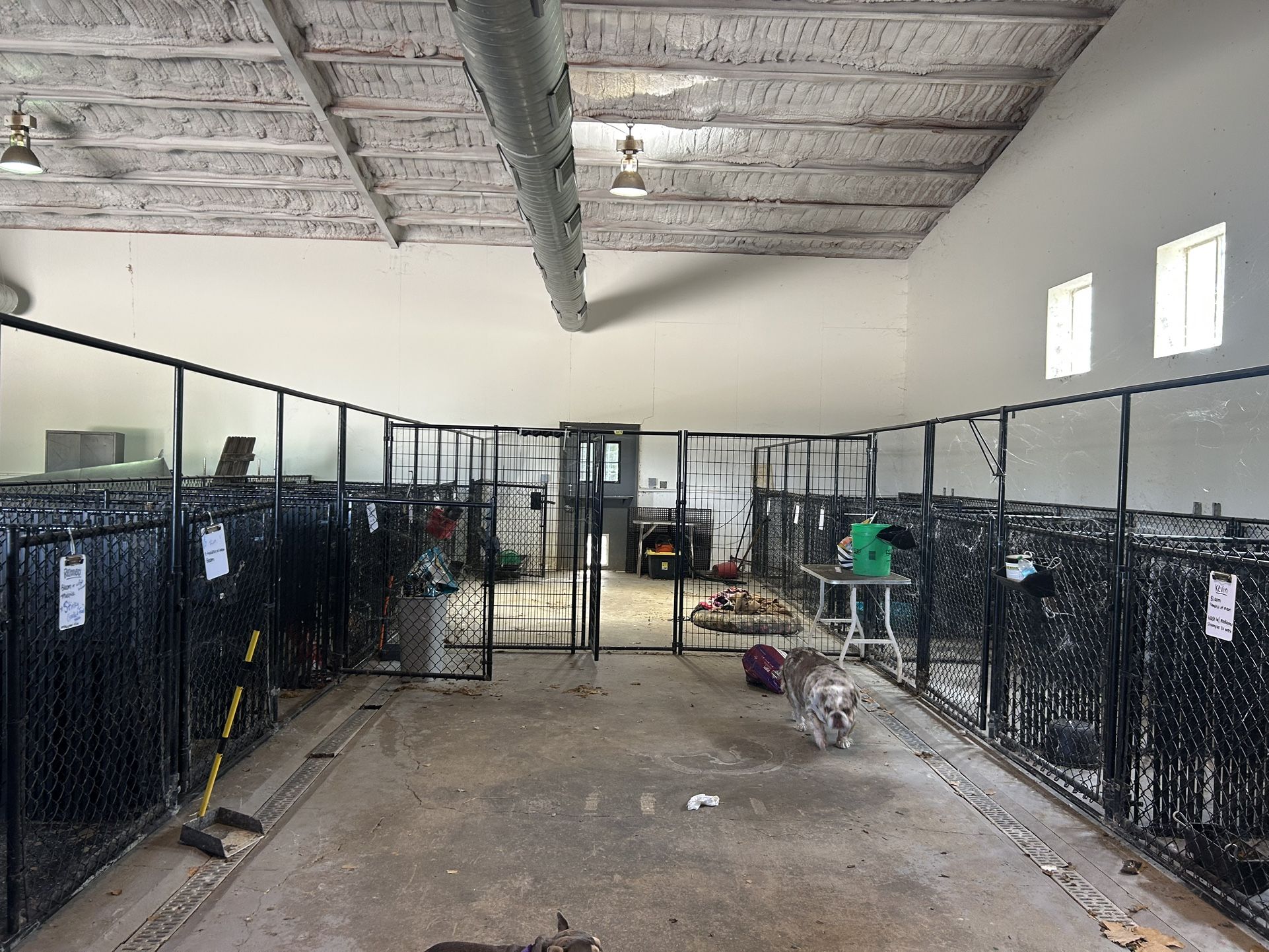 Individual or Full size 21 space dog runs with two separate living room spaces
