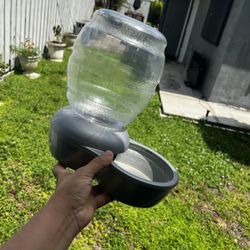 Water Bowl Para Mascota 