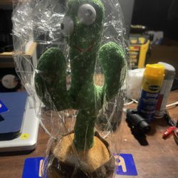 Cactus Toy Repeats Record