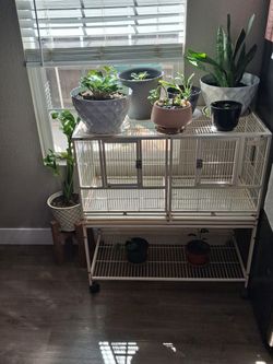 Bird cage