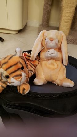 Beanie baby 2000 collection