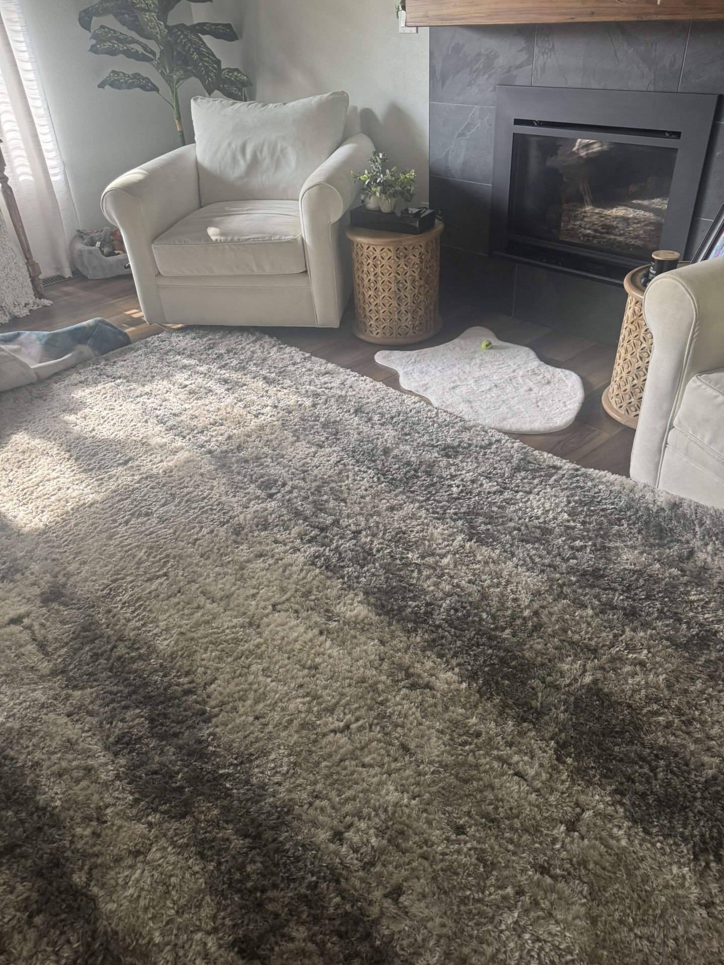 8x10 Gently used rug (pet friendly home)