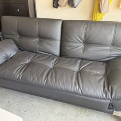 Futon Couch