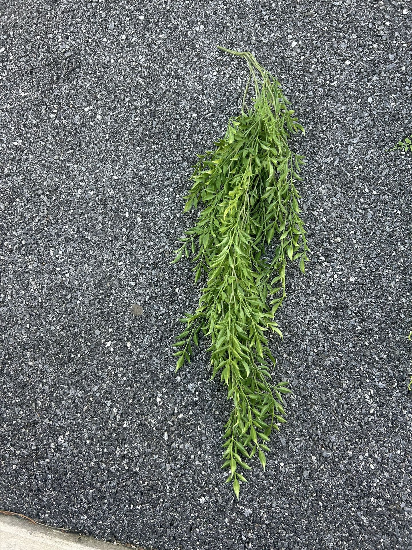 Artificial Hanging Plant
