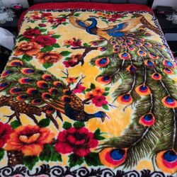 Beautiful Blanket 