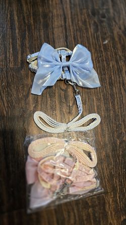 Beautiful small cat or kitten harness and leash