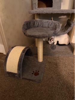 Cat house and smaller house
