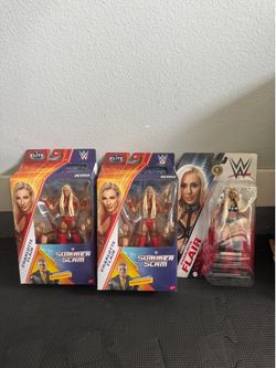 WWE lot