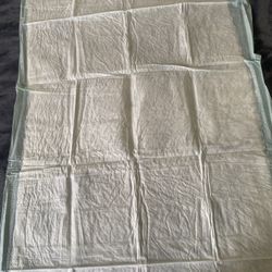 UNDERPADS, 3 boxes, 450 Underpads, 100  dollars cash only, please