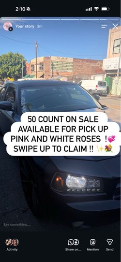 50 count roses sale