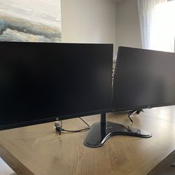 Dual HP Monitors with Stand