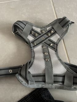 Dog Harness