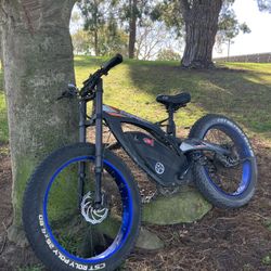 Ecotric E-bike