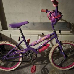 20” Girls Bike 
