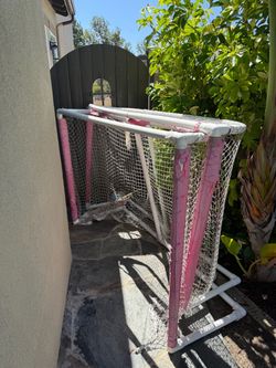 FREE kids street hockey nets