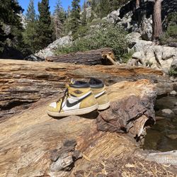 Jordan 1 Yellow