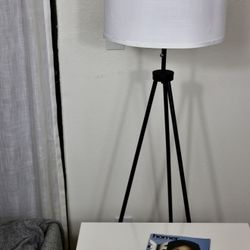 Floor Lamp (Lightbulb Included)