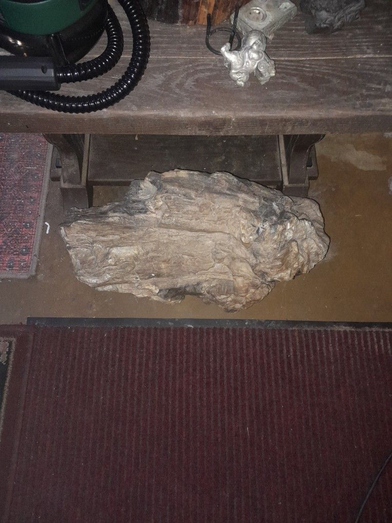 Petrified Wood Log