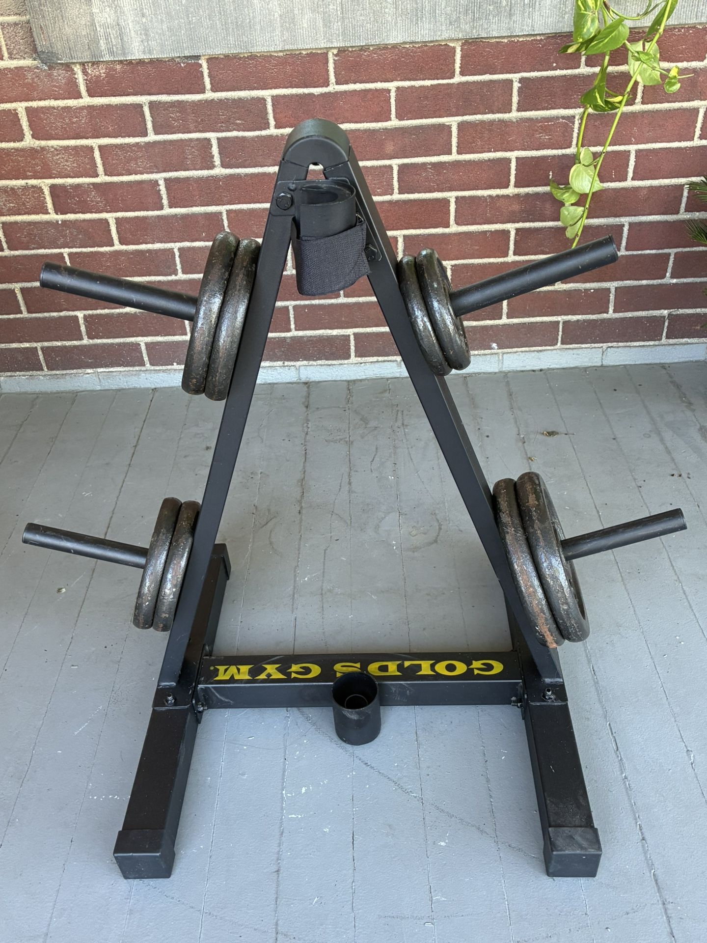 Weight Rack And Weights