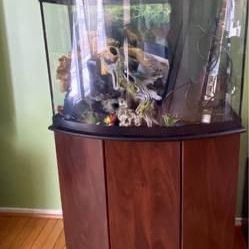 36 gallon bow front aquarium and stand for sale with lots of accessories