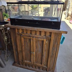 Thrive 20 Gallon Terrarium