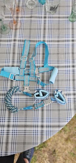Child Harness