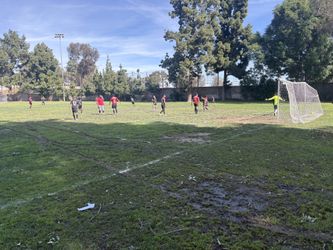Liga En Busca De Equipos