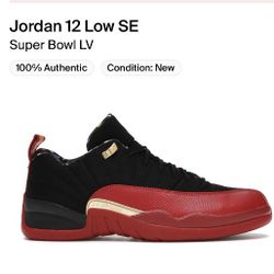 Jordan 12 Retro Low Super Bowl Size 7