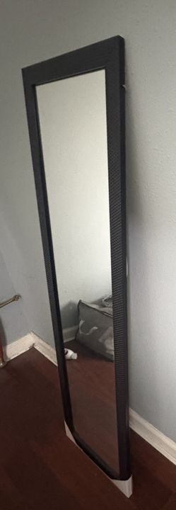 Body Mirror $5