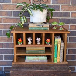 Vintage Cottagecore Compartmentalized Mail Documents Trinkets Display Shelf